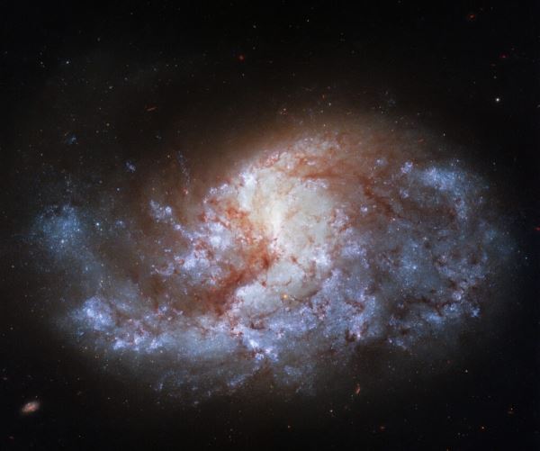 Галактика NGC 1385